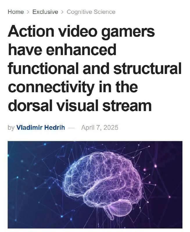 Мозг геймеров на максималках!