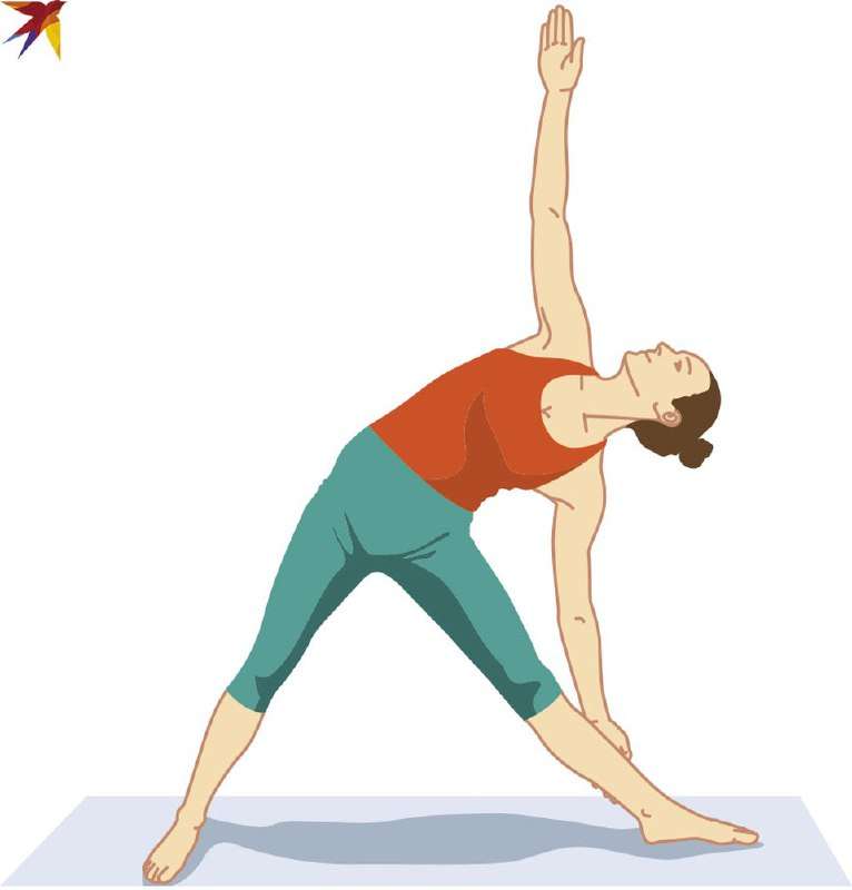 Можно ли скинуть лишний вес работая на даче: важные правила для любителей провести выходные на огороде... - новости