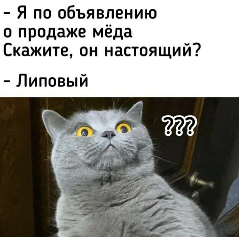 🍯 Производство меда может сократиться из-за неурожая в России - новости