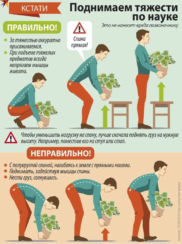 Можно ли скинуть лишний вес работая на даче: важные правила для любителей провести выходные на огороде... - новости