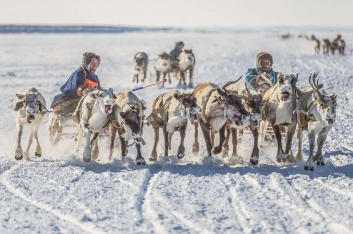 Природа северных регионов России