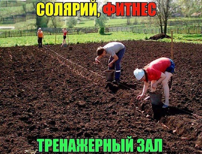 Дачный фитнес: мифы и реальность Работа на даче – не та физическая нагрузка, которая оздоравливает тело