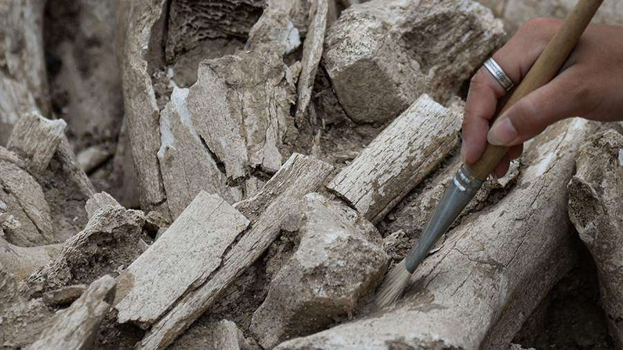 Археологическая находка в Красноярске - привет из каменного века