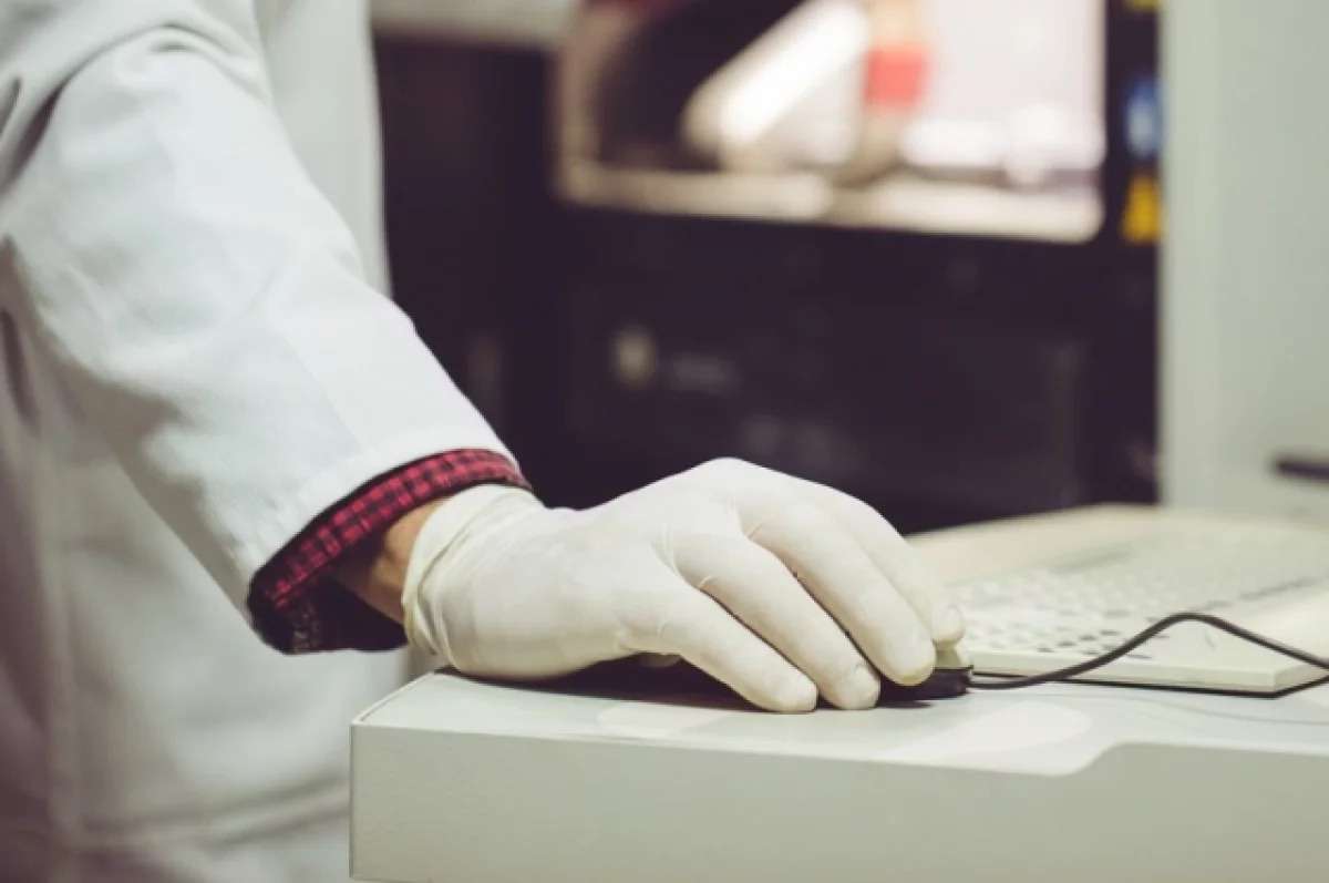 ​В России на 3Д-принтере печатают убежища от дронов, жилье и отели - новости