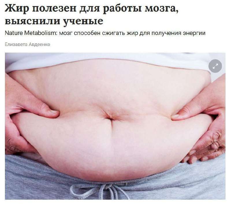 Жир полезен для работы мозга — учёные выяснили, что в период интенсивной нагрузки мозг буквально «зачерпывает» энергию из жировы... - новости