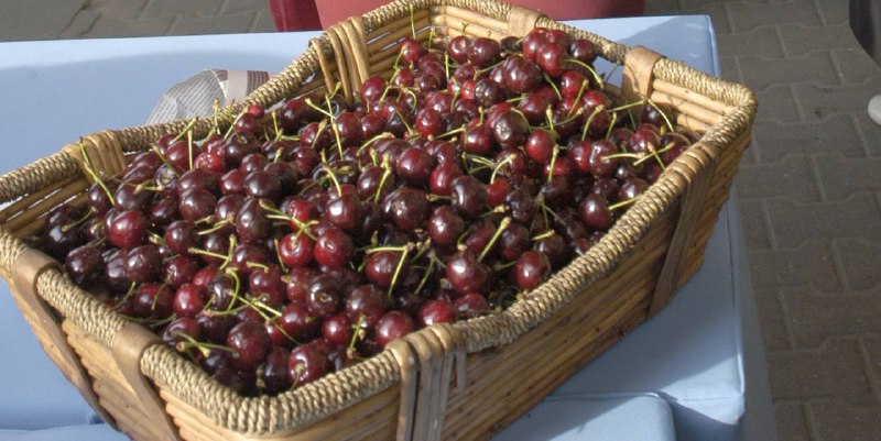 Черешня - радость лета Тарелка сочной черешни