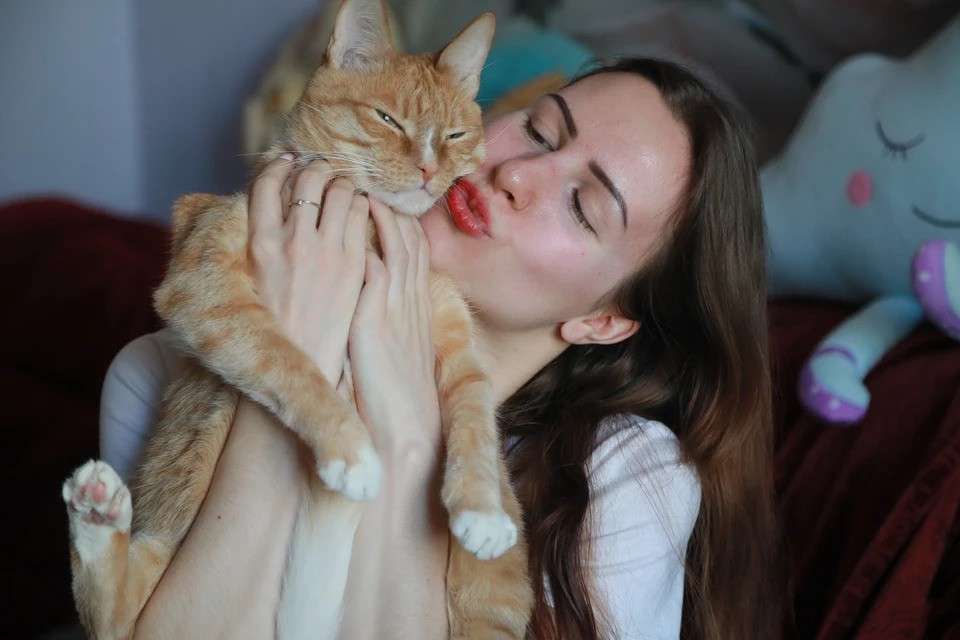 Кот как лучшее средство от стресса Стало известно, как россияне поддерживают ментальное здоровье и справляются со стрессом