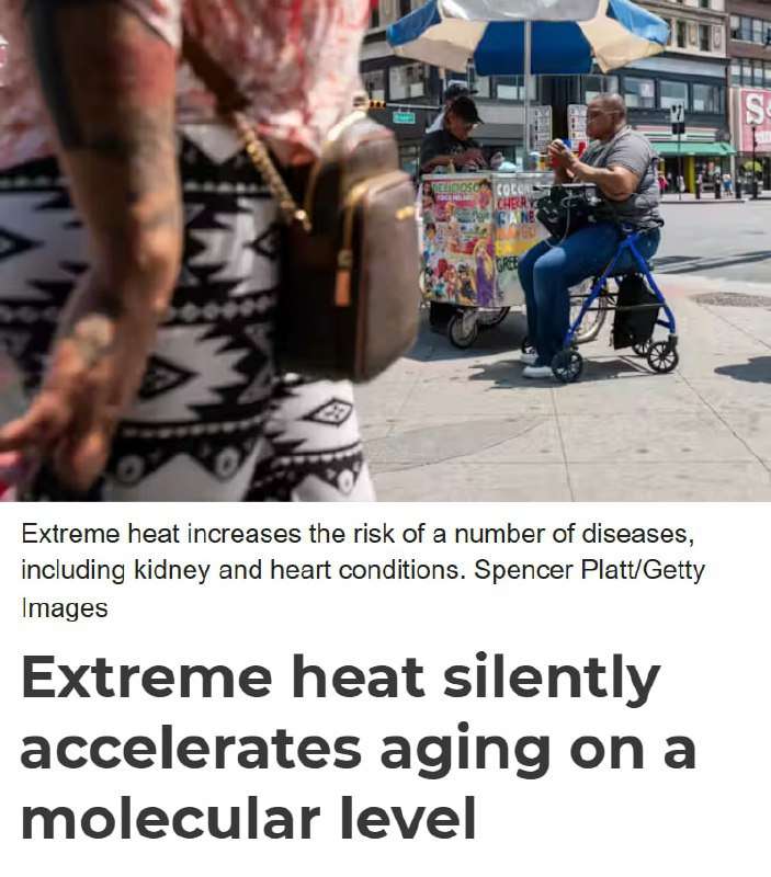 Экстремальная жара ускоряет старение организма — как курение и алкоголь. - новости