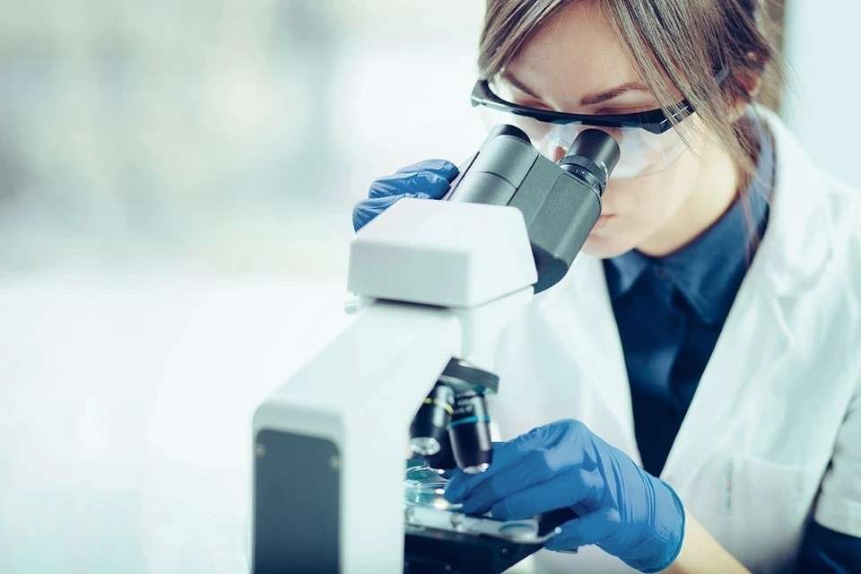 Новости - Пчелиный яд может спасти сотни тысяч жизней: ученые изучают инновационный способ лечения рака Пчелиный яд может спасти сотни тысяч жизней: ученые изучают инновационный способ лечения рака - новости