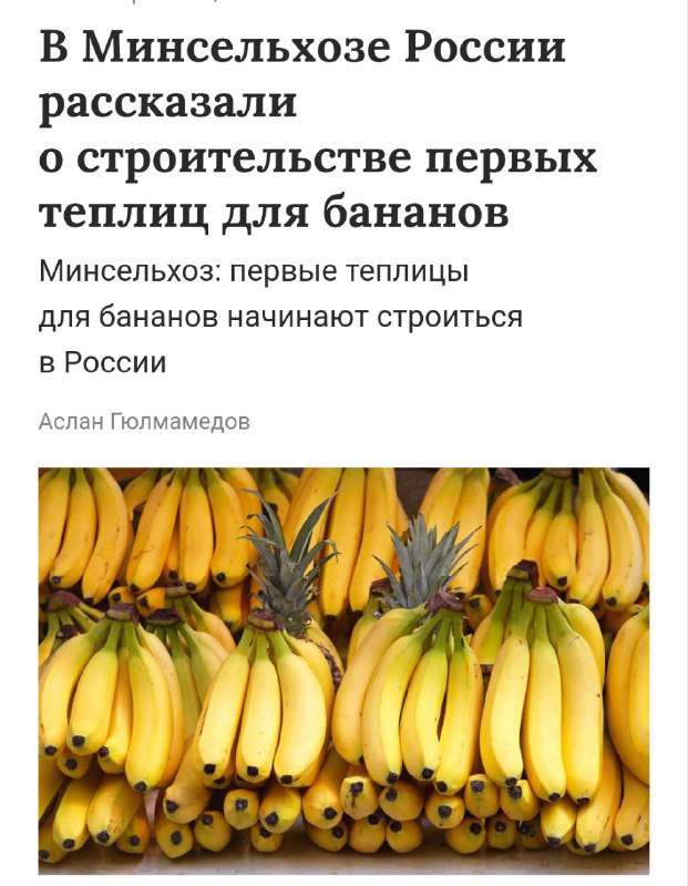 В России начнут выращивать БАНАНЫ — первые теплицы уже начали строить, сообщили в Минсельхозе. - новости