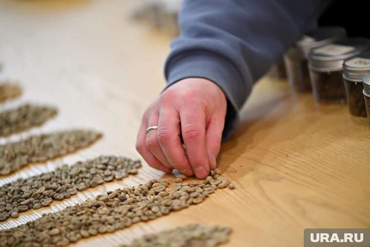 Разоблачение мифов о кофе от пермского обжарщика Обжарщик из Перми опроверг мифы о сенсационном кофе