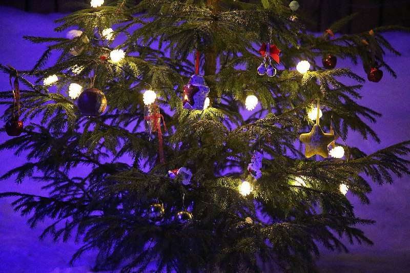 🎄🎁 Каждый десятый россиянин не планирует дарить новогодние подарки - новости