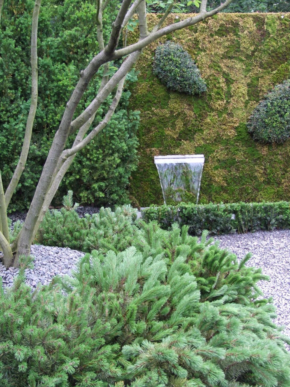 Новости - Соседи в шоке: роскошный сад для ленивых богов, который растет сам, пока ты просто кайфуешь Соседи в шоке: роскошный сад для ленивых богов, который растет сам, пока ты просто кайфуешь - новости