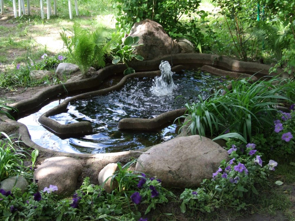 Новости - Соседи в шоке: роскошный сад для ленивых богов, который растет сам, пока ты просто кайфуешь Соседи в шоке: роскошный сад для ленивых богов, который растет сам, пока ты просто кайфуешь - новости