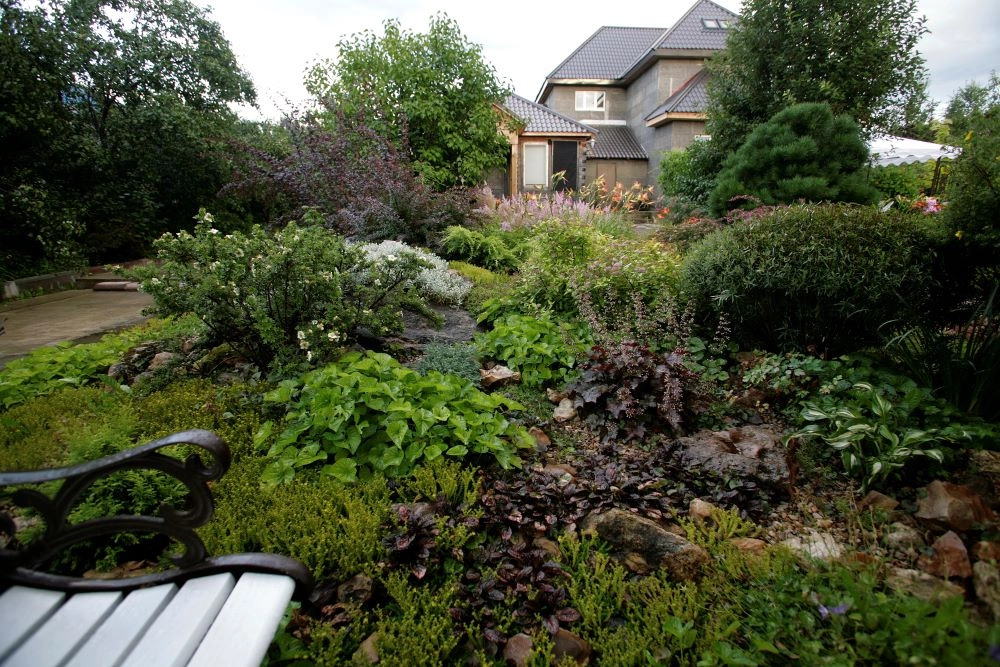 Новости - Соседи в шоке: роскошный сад для ленивых богов, который растет сам, пока ты просто кайфуешь Соседи в шоке: роскошный сад для ленивых богов, который растет сам, пока ты просто кайфуешь - новости