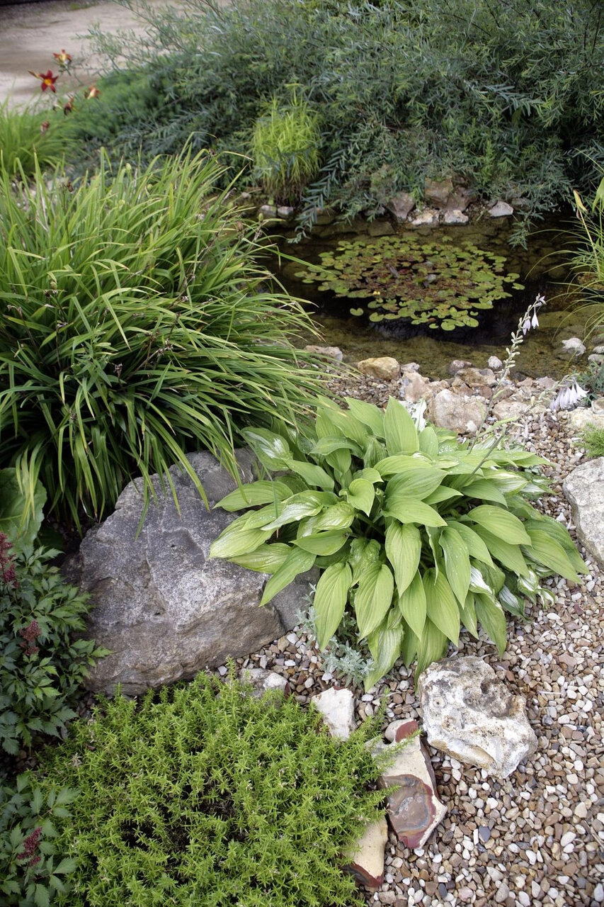 Новости - Соседи в шоке: роскошный сад для ленивых богов, который растет сам, пока ты просто кайфуешь Соседи в шоке: роскошный сад для ленивых богов, который растет сам, пока ты просто кайфуешь - новости