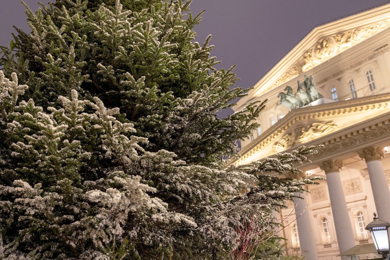 Сдаем явки и пароли: где московские гиды ловят дзен и заряжаются бешеной любовью к лучшей столице мира - новости