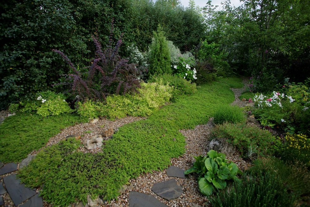 Новости - Соседи в шоке: роскошный сад для ленивых богов, который растет сам, пока ты просто кайфуешь Соседи в шоке: роскошный сад для ленивых богов, который растет сам, пока ты просто кайфуешь - новости