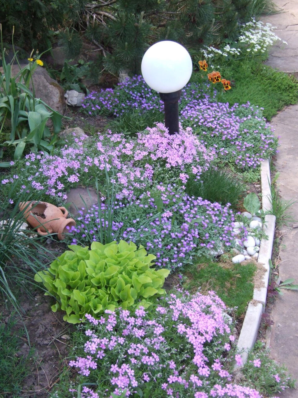 Новости - Соседи в шоке: роскошный сад для ленивых богов, который растет сам, пока ты просто кайфуешь Соседи в шоке: роскошный сад для ленивых богов, который растет сам, пока ты просто кайфуешь - новости