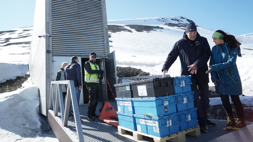 Новости - Бэкап для планеты: в Дубае строят крио-бункер, чтобы мы не потеряли слонов (и совесть) ❄️ новости