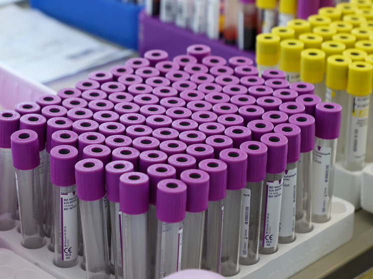 иммунитет и печень