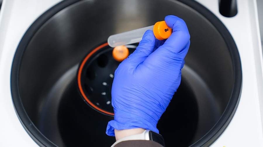 Новости - Шах и мат, онкология: Как российские ученые превращают наш иммунитет в элитный спецназ, или Почему меланоме пора паковать чемоданы новости