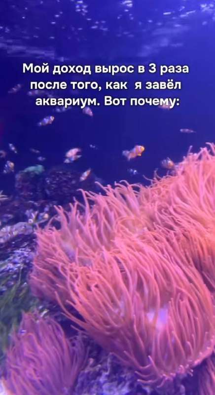 «Плывем к богатству: Как аквариумы делают нас миллионерами!» - новости