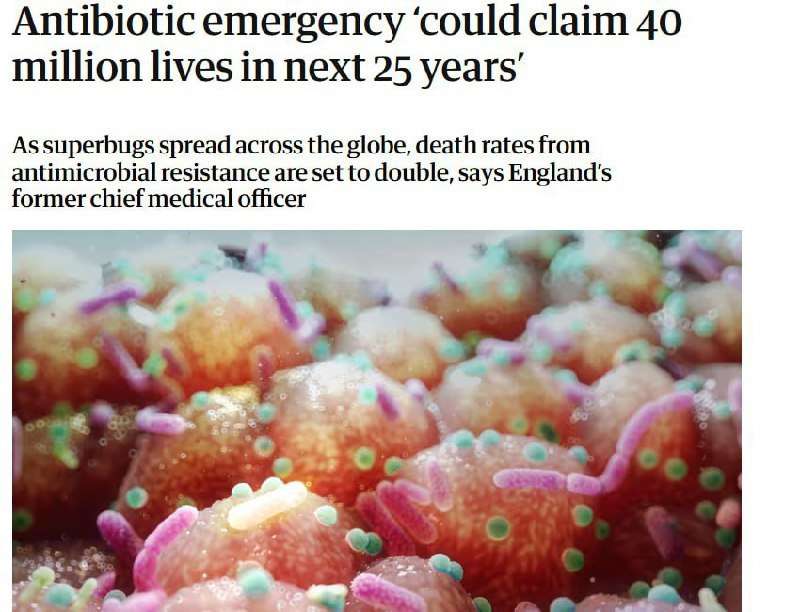 Новости - Предупреждение, как настоящий шутник, всегда поднимает настроение! Давайте взглянем на эту новость с оптимистичной стороны, ведь... Предупреждение, как настоящий шутник, всегда поднимает настроение! Давайте взглянем на эту новость с оптимистичной стороны, ведь... - новости